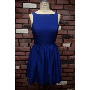 Sleeveless Skater Dress